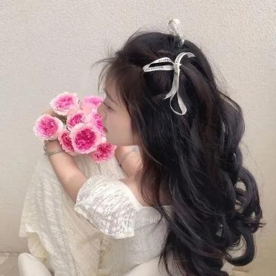 阿尔法：狼伴归途